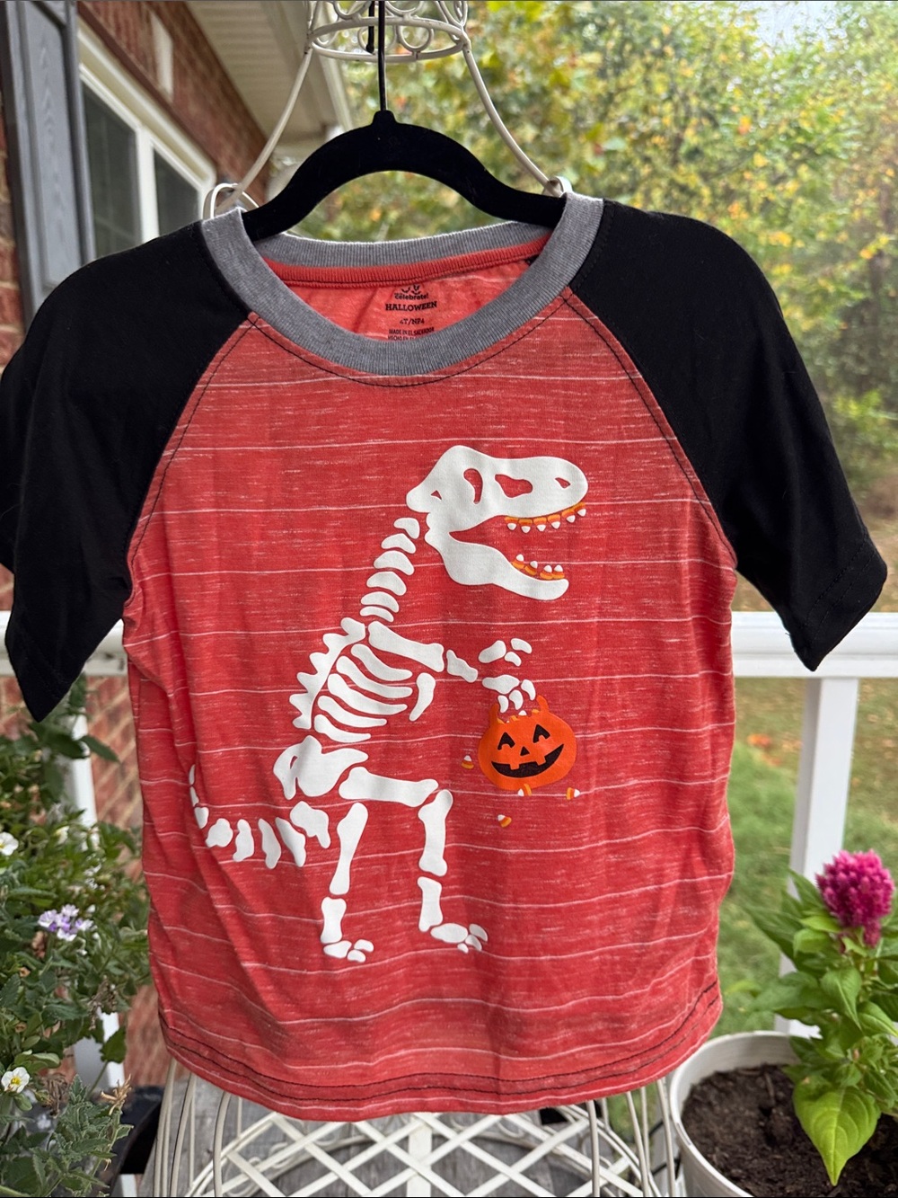 Halloween Dino Skeleton Raglan Tee - Red & Black